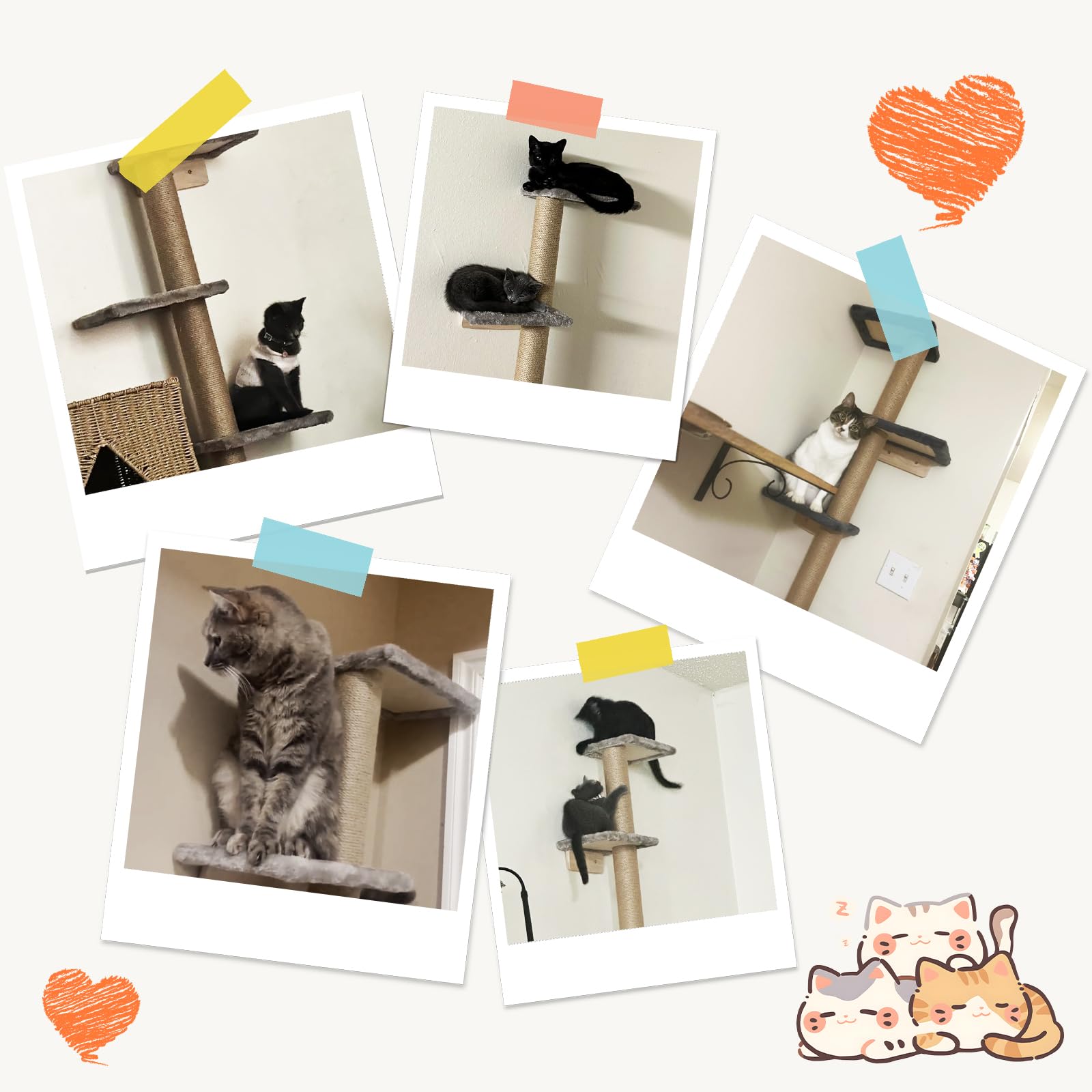 PAWSCRAT installation facile – instructions claires et fixations incluses.