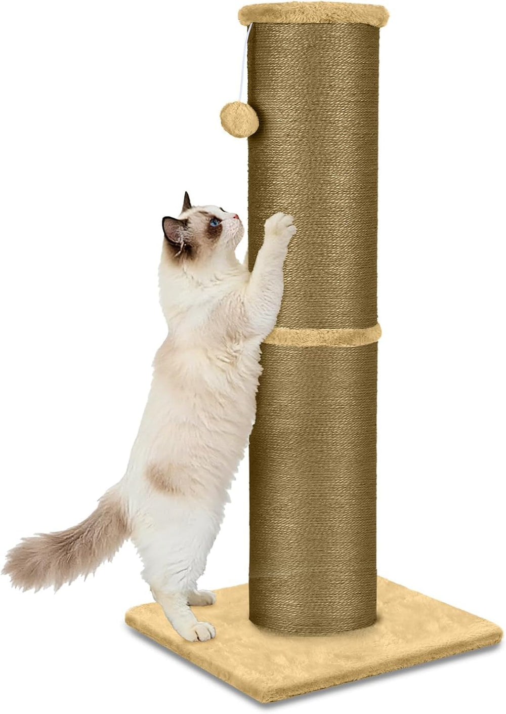 PAWSCRAT Poteau Grattage 32 Pouces, espace naturel pour chats et meubles