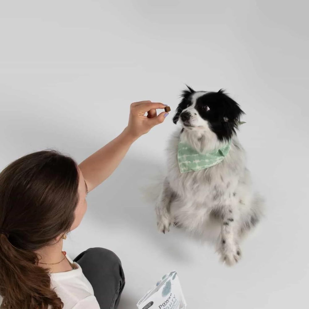 Pawse Mighty Mushroom Chews bouchées croquantes, texture agréable pour chiens et chats.