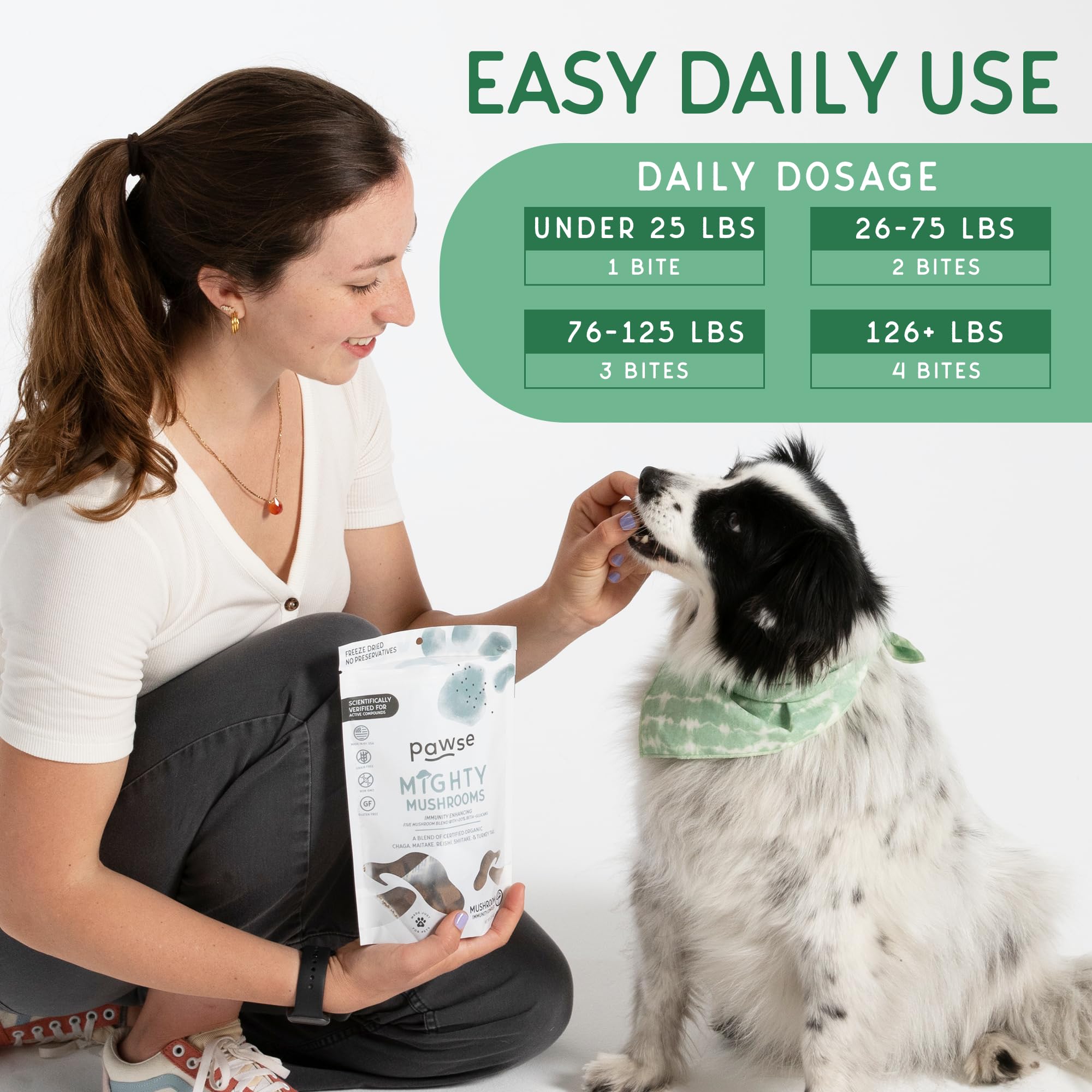 Pawse Mighty Mushroom Chews chien et chat dégustation naturelle.