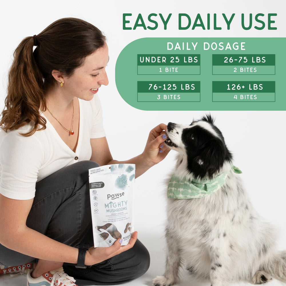 Pawse Mighty Mushroom Chews chien et chat dégustation naturelle.