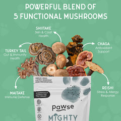 Pawse Mighty Mushroom Chews queue-de-dinde et champignons, ingrédients clés mis en avant.