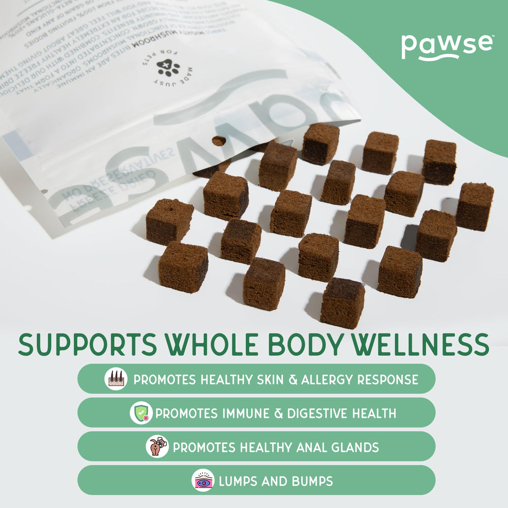 Pawse Mighty Mushroom Chews reishi et chaga, antioxydants potentiels pour la vitalité.