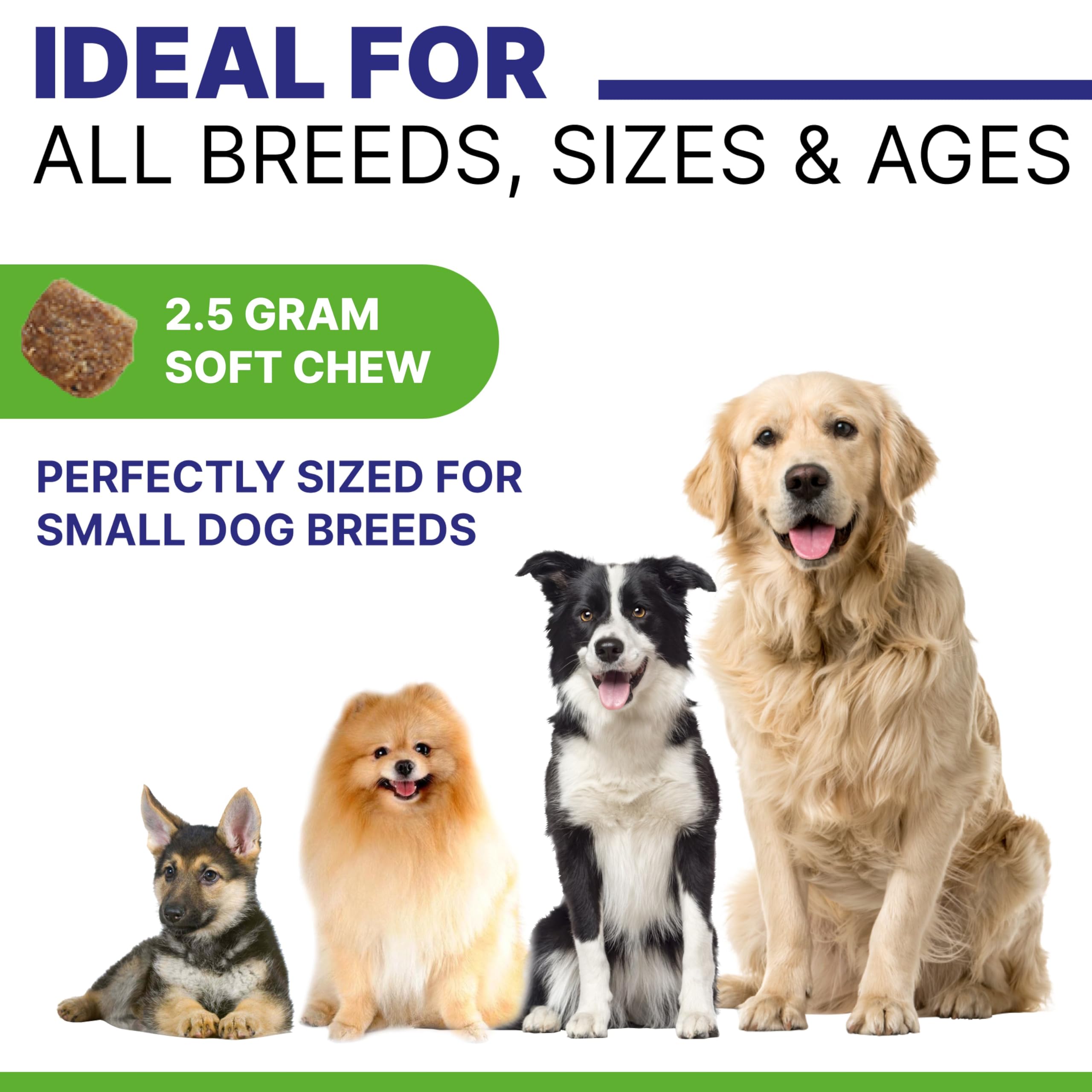PAWSENTIAL Allergy Relief Chews – usage quotidien pour le confort d’un chien actif