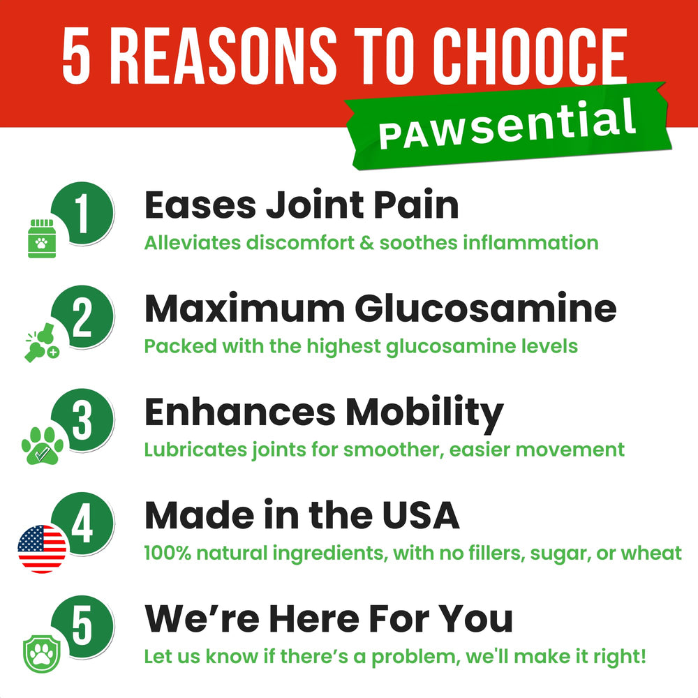 Pawsential anti-inflammatoire-formule, soutien léger des articulations pendant l’exercice.