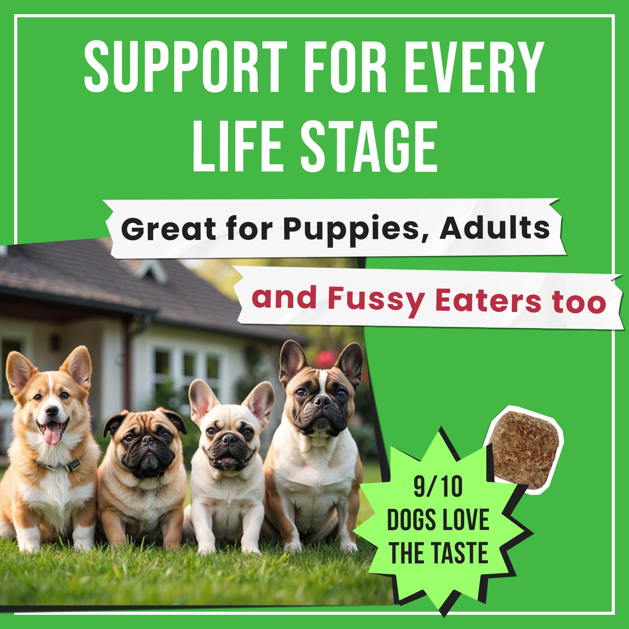 Pawsential No Poo fabriqué aux États‑Unis selon des normes élevées.