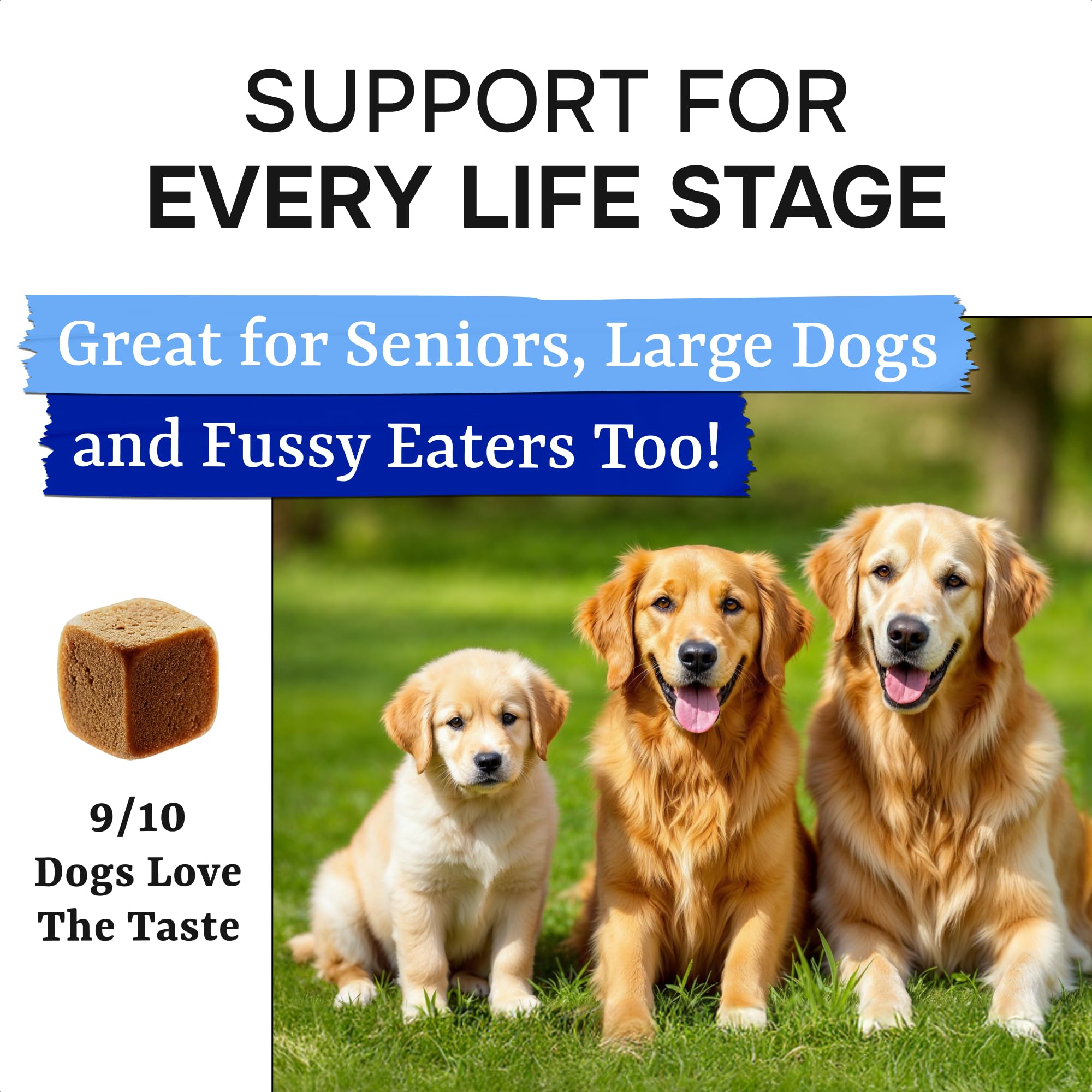 Pawsential Probiotiques Chiens – allergie saisonnière et peau plus saine.