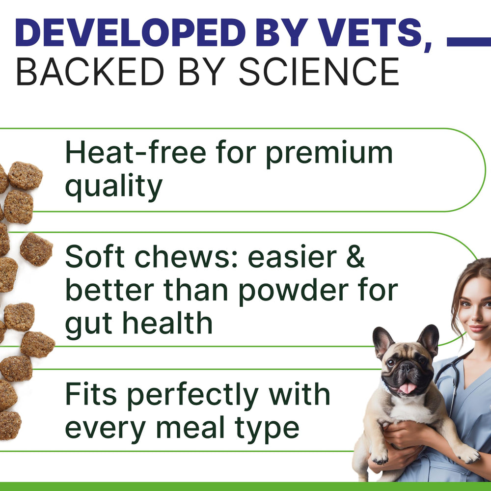 Prebiotiques et fibres Pawsential soutenant la digestion canine