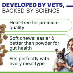 Prebiotiques et fibres Pawsential soutenant la digestion canine