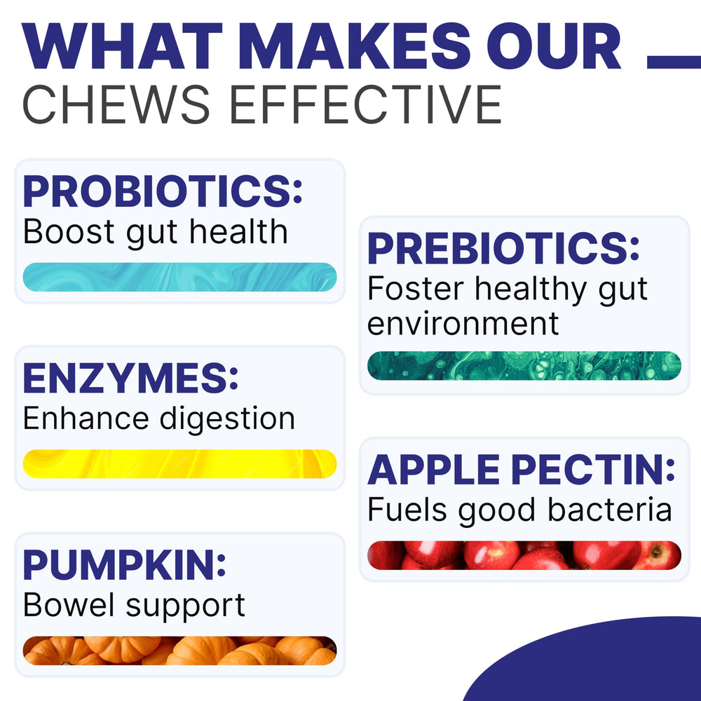 Probiotiques et levure Pawsential favorisant l'equilibre intestinal