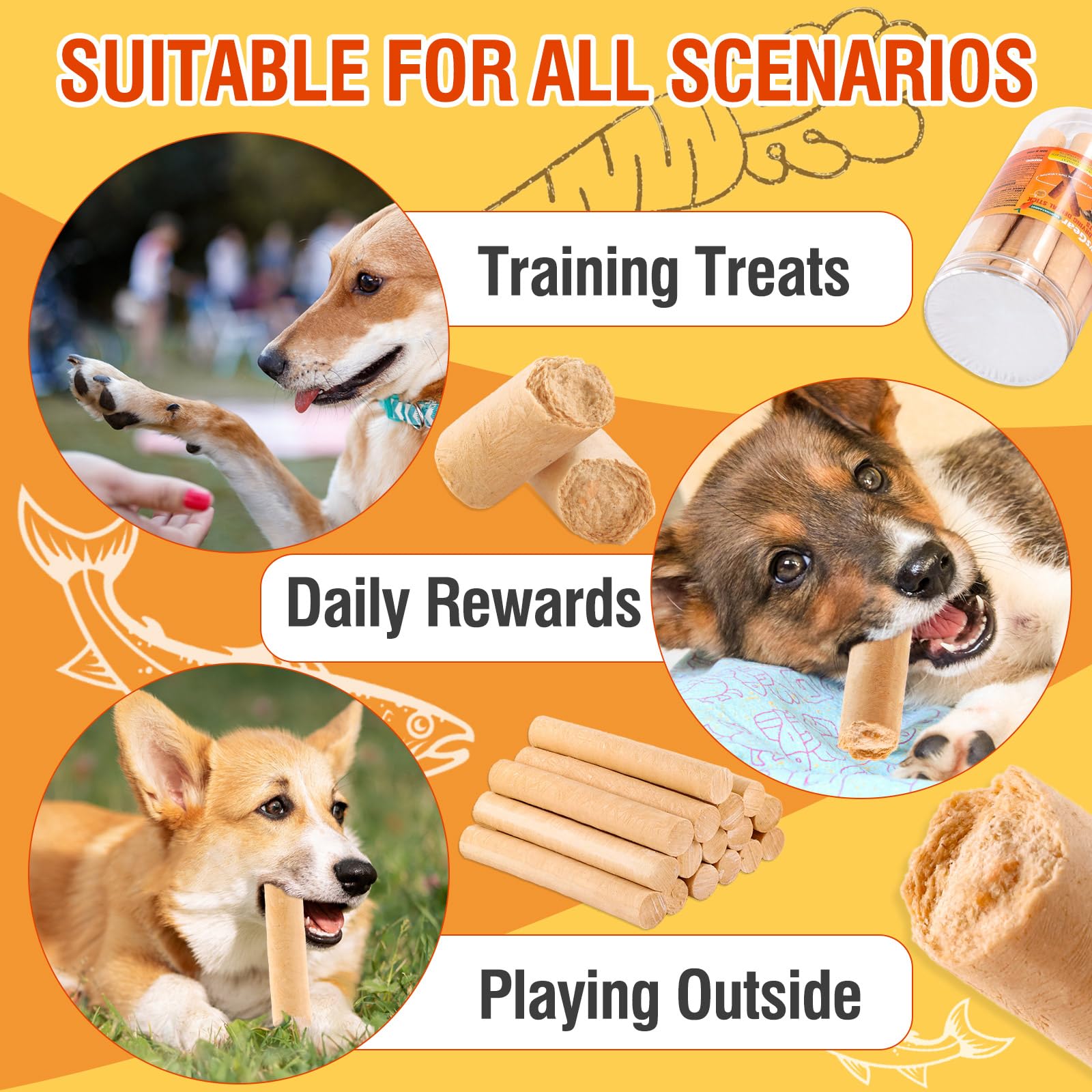 PawsGear convient à toutes les races de chiens.