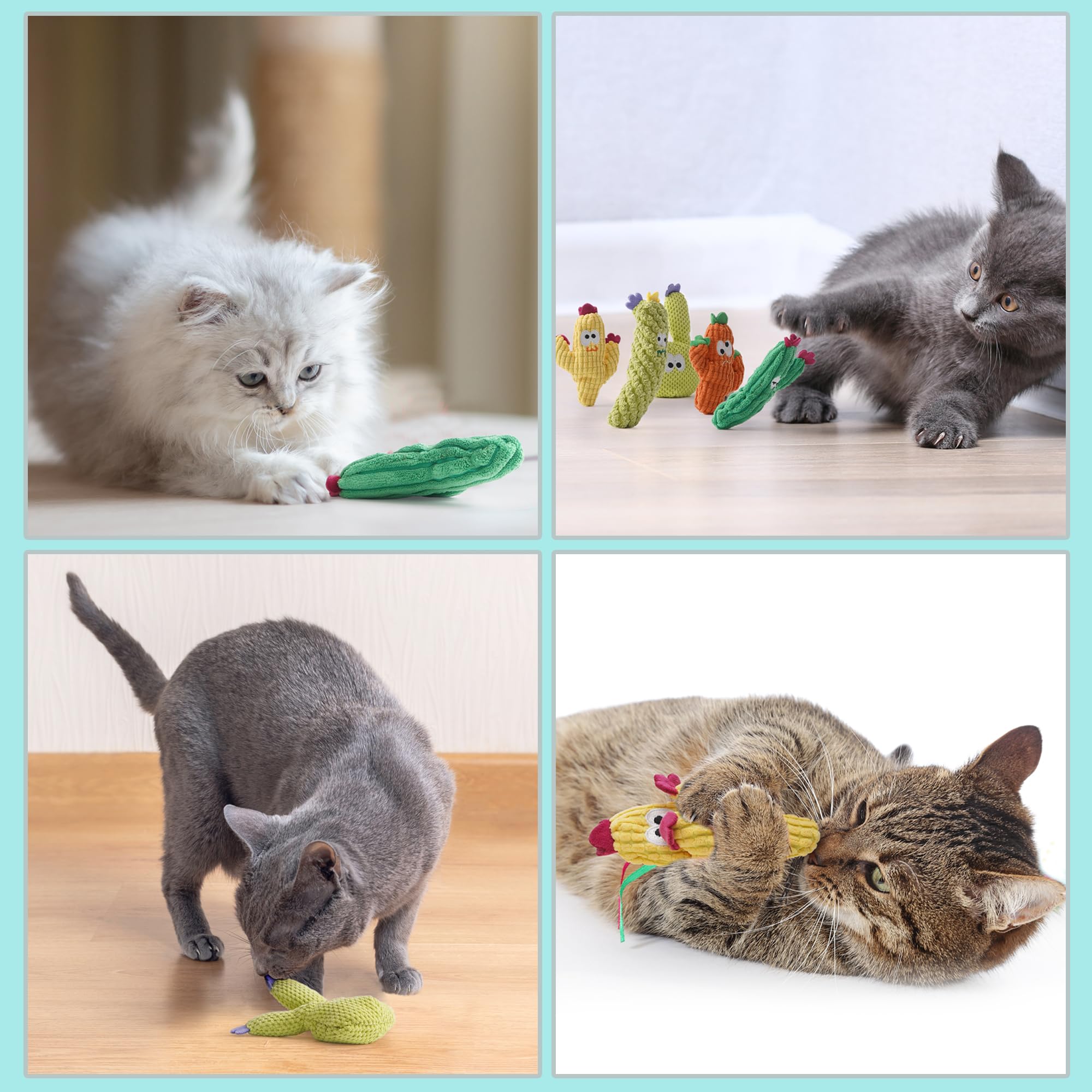 Jouet cactus toucher-doux Pawsible pour chat, douceur et plaisir de mâchouillage.
