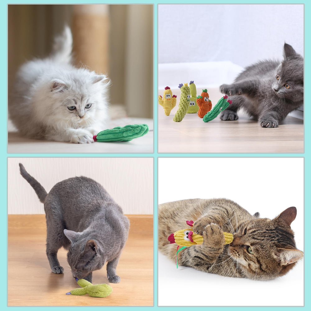Jouet cactus toucher-doux Pawsible pour chat, douceur et plaisir de mâchouillage.