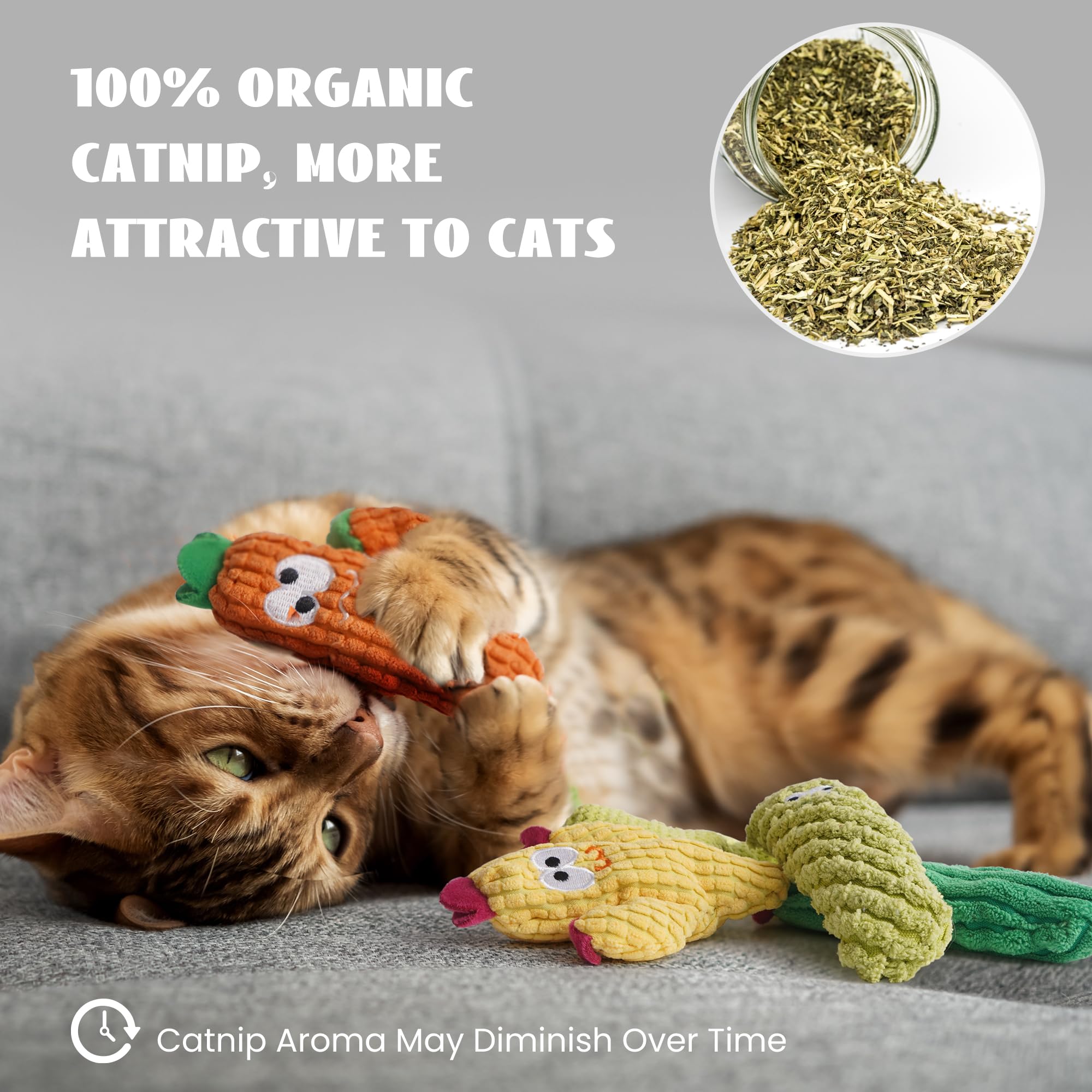 Jouet cactus violet Pawsible pour chat, soutient le jeu interactif et la dentition.