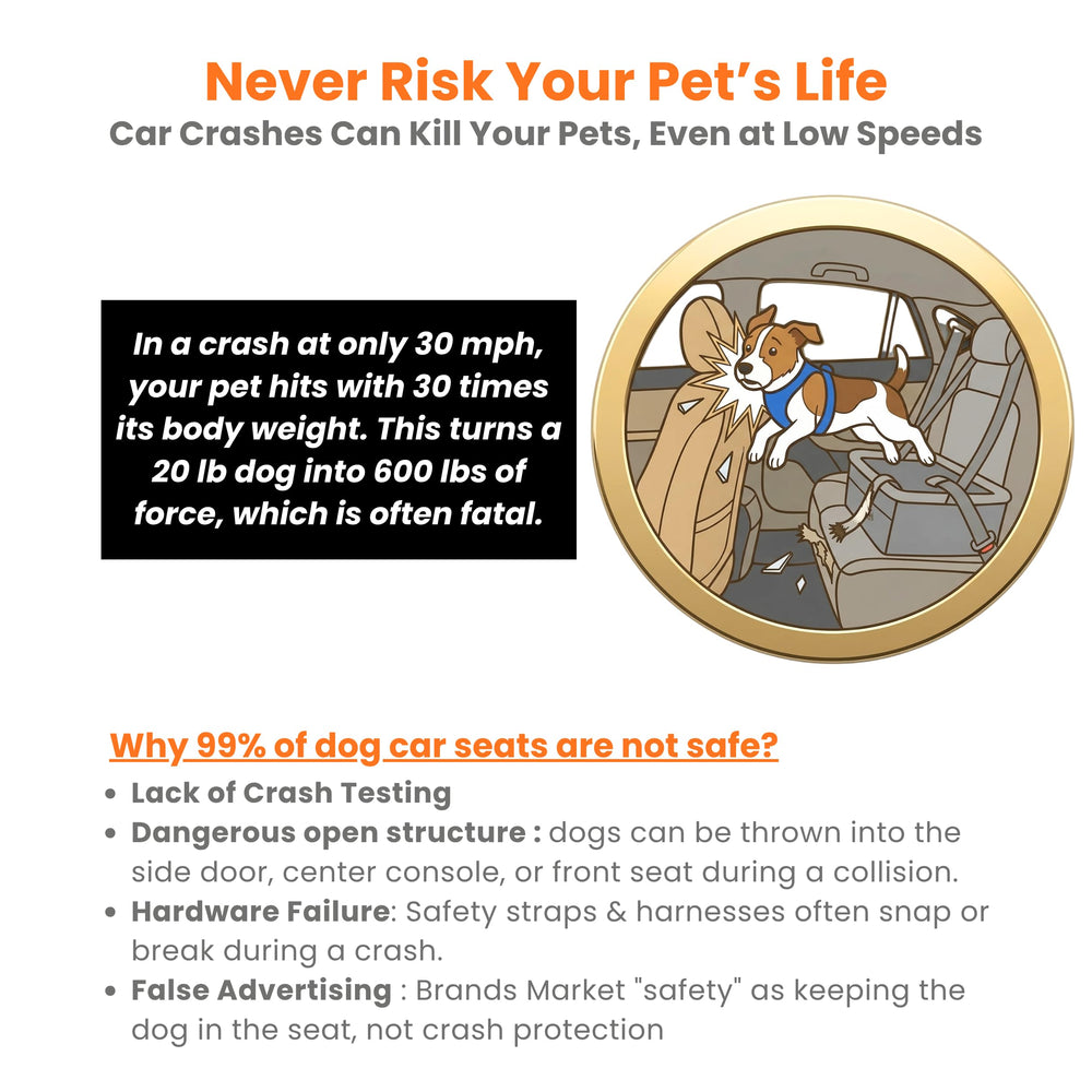 PawsInCar portable veto deplacement: transport facile pour visites vétérinaires, sans stress.