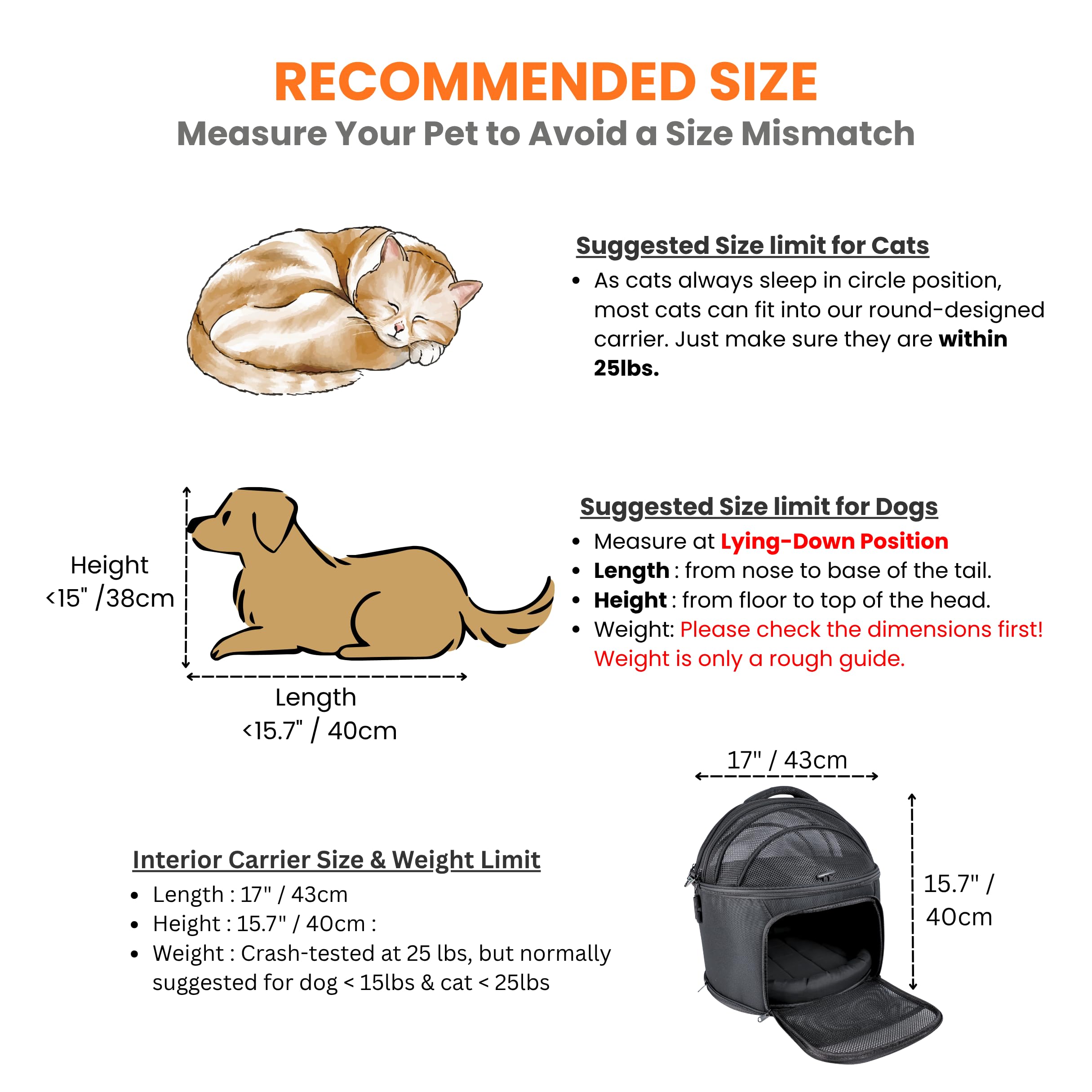 PawsInCar voiture-petite-animal-securite: voyage en voiture plus sûr pour petits animaux.