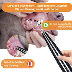 PAWSION têtes nettoyage remplaçables—personnalise le brossage selon la taille de l'animal.