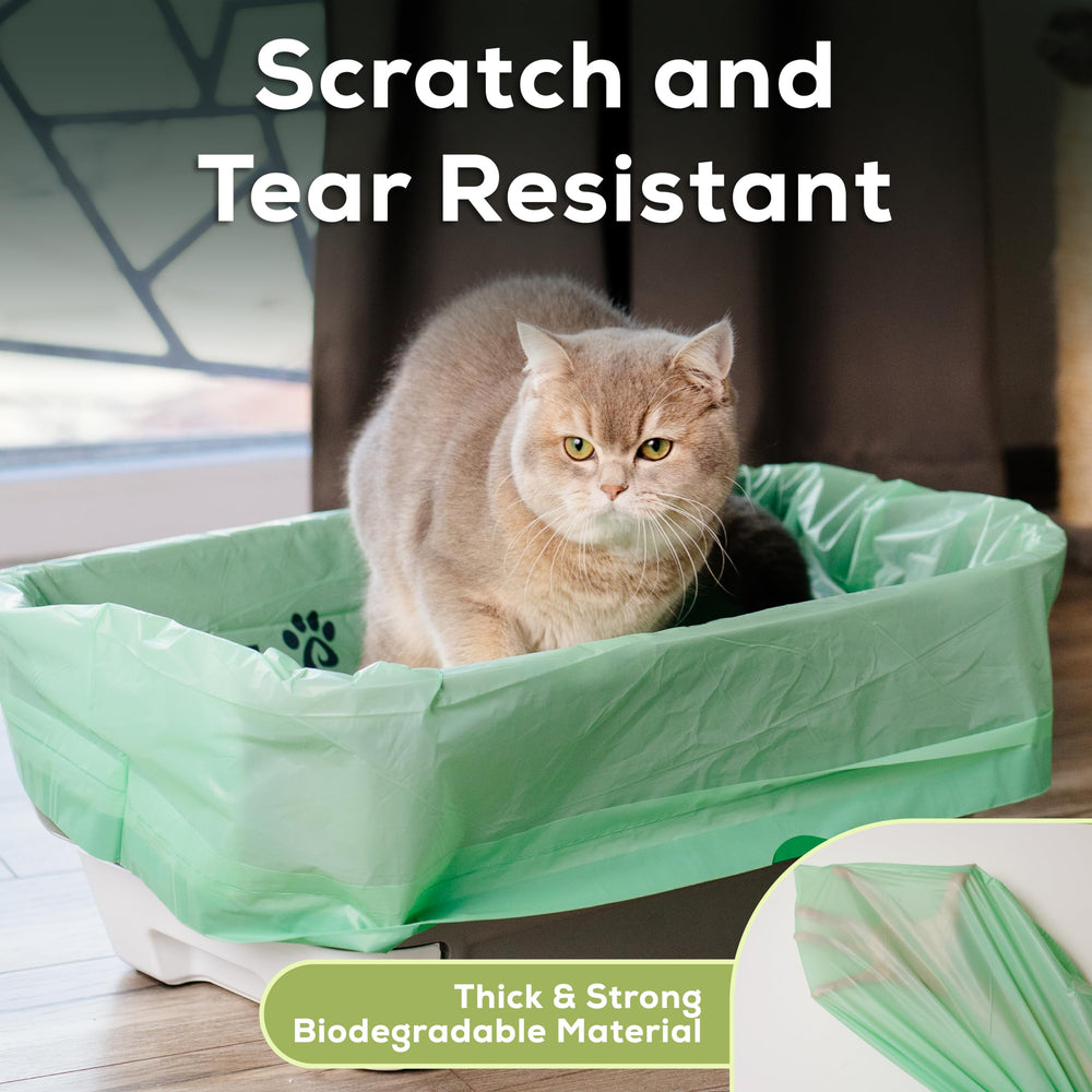 Pawsitive Earth rappel: compostage réservé aux plantes décoratives uniquement.