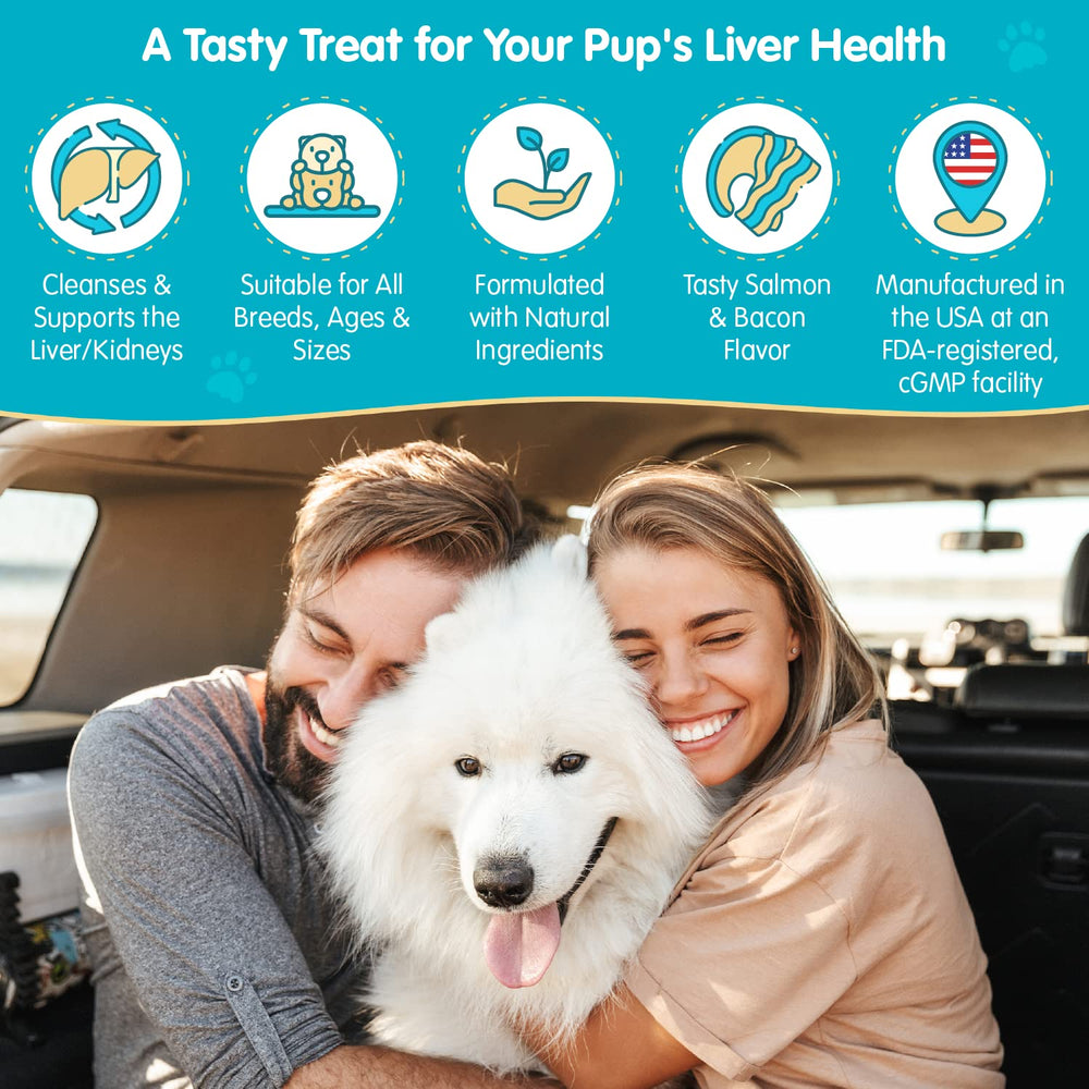 Pawsitive Wanderfound chien heureux: bouchées savoureuses qui facilitent l'intégration au quotidien.
