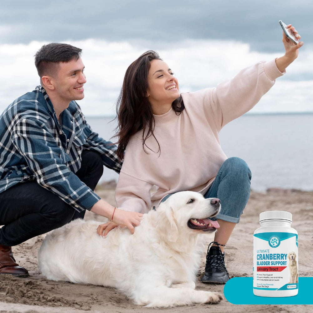Étiquette Wanderfound montrant le dosage et les informations produit.