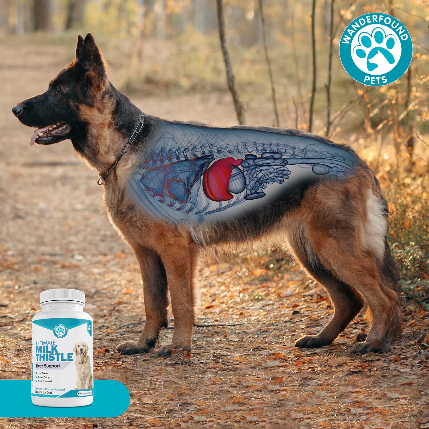Pawsitive Wanderfound fabriqué aux États‑Unis: garantie de qualité et traçabilité.