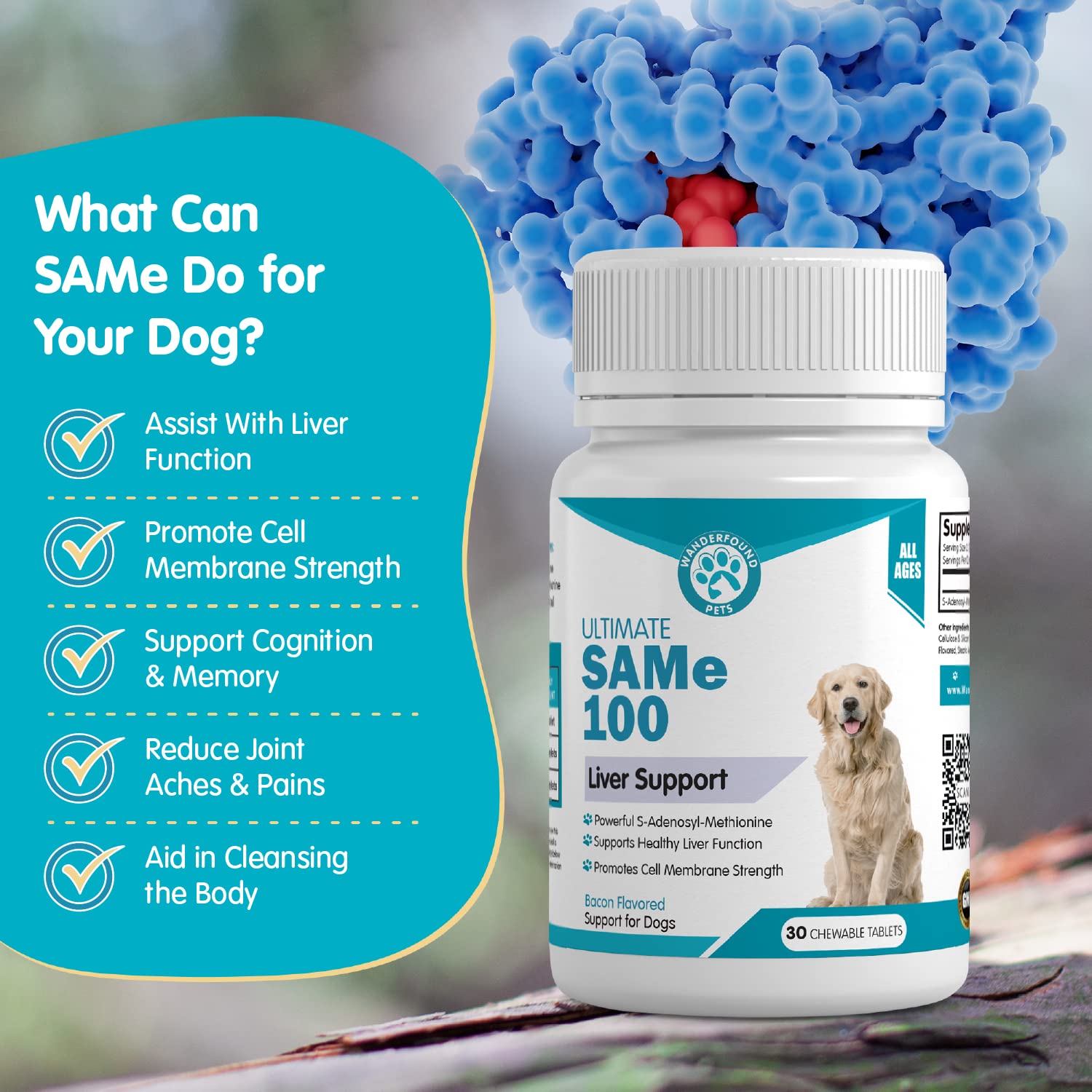 Pawsitive Wanderfound SAME: marque engagée et service client attentif.