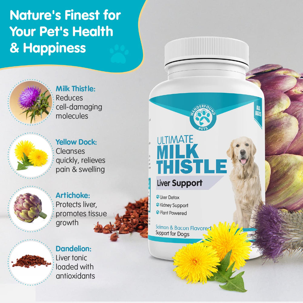 Pawsitive Wanderfound sans sous-produits: composition naturelle rassurante pour les propriétaires.