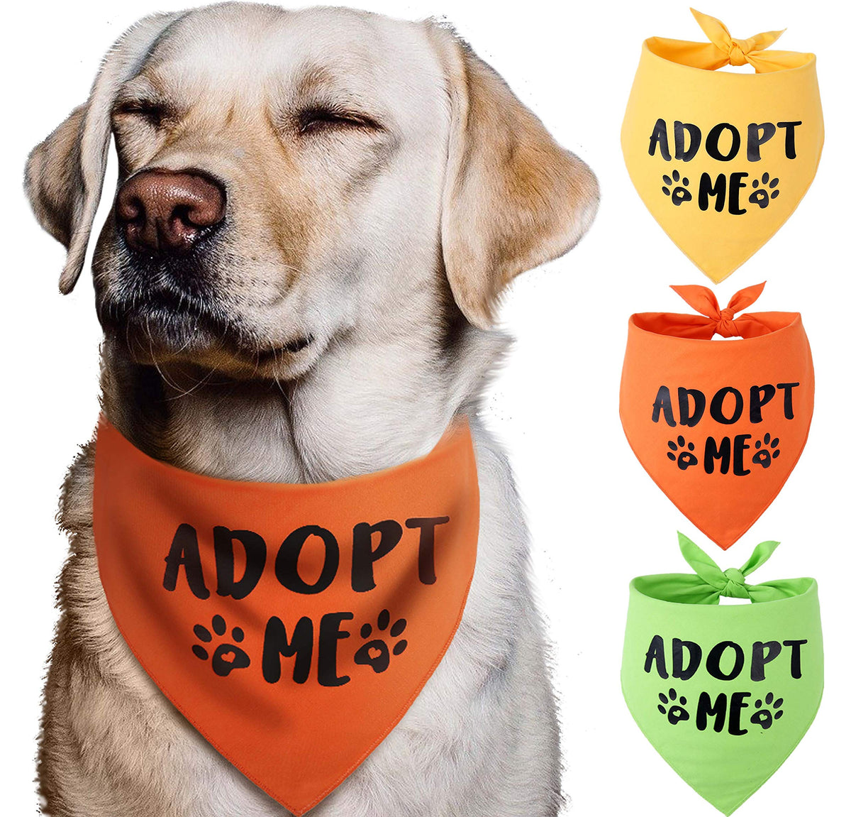 Bandana Pawskido Adoptez-Moi trio de couleurs pour sorties et visibilité.