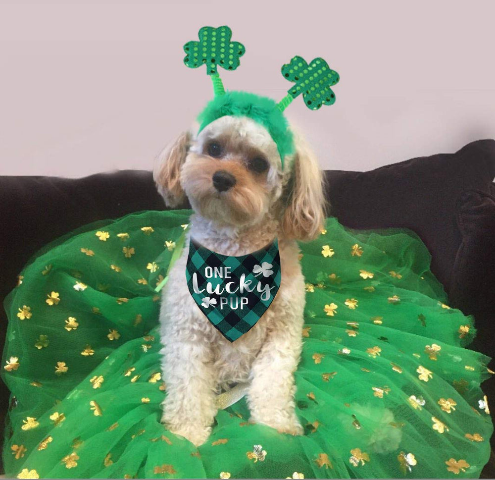 Pawskido bandana imprime trefle vert, allure festive ideale.
