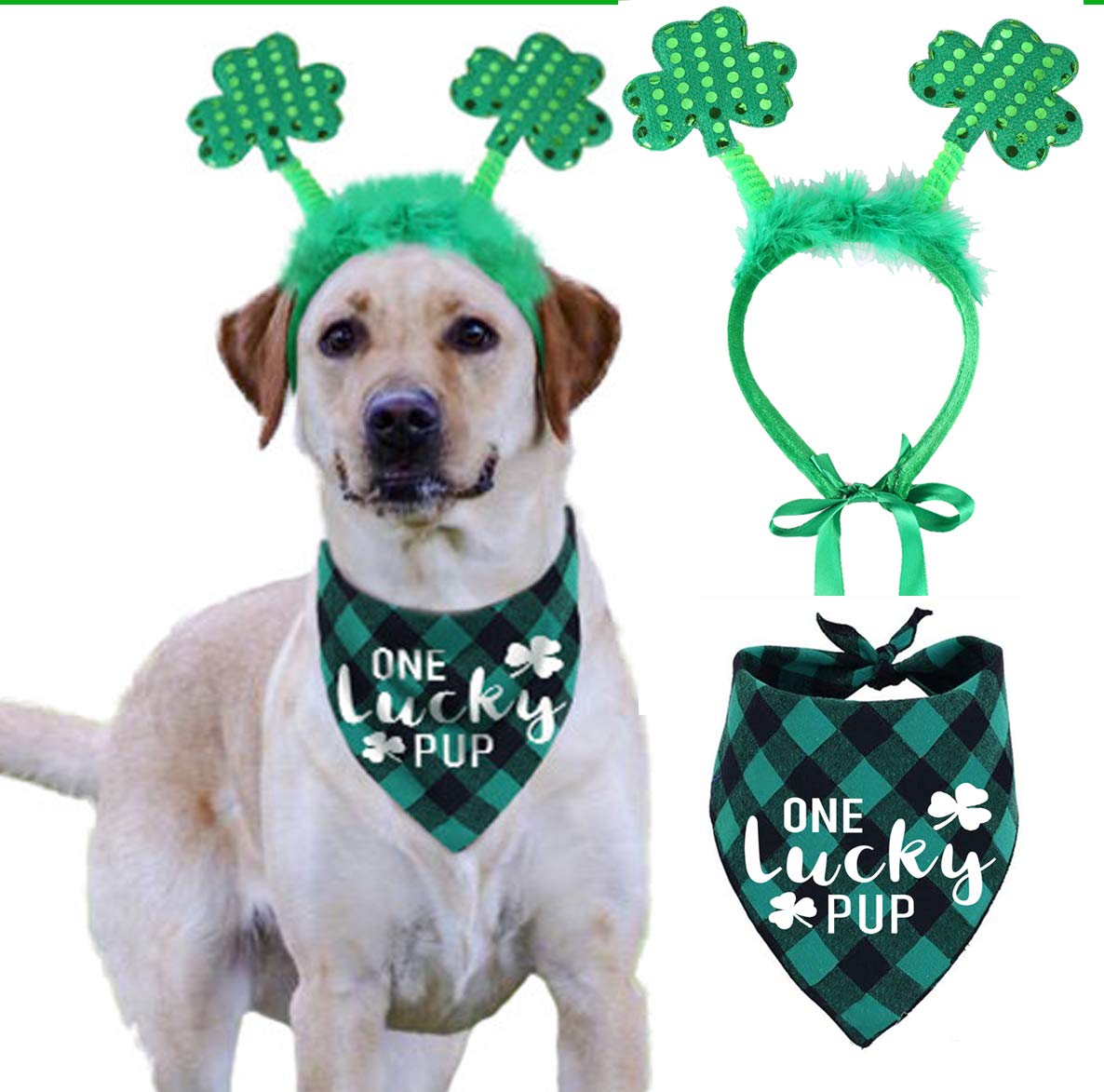 Pawskido costu me chien Saint-Patrick bandeau trefle vert pour briller.