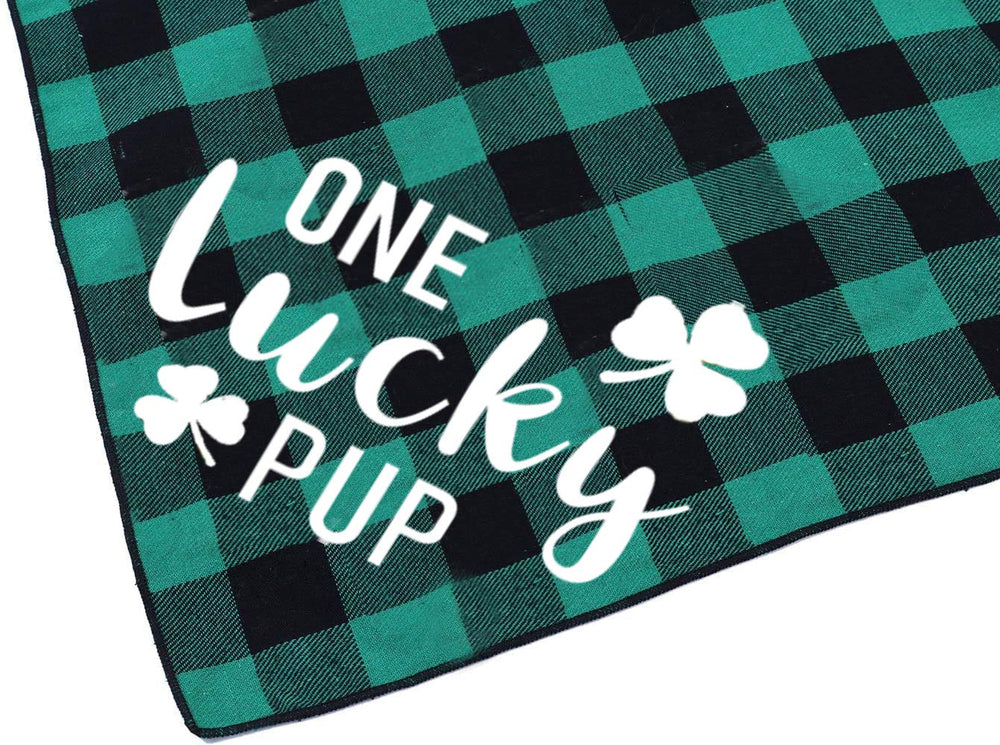 Pawskido idee cadeau Saint-Patrick pour chiens, option festive pratique.