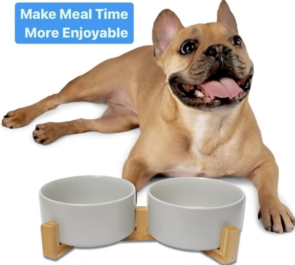 Ensemble de bols céramique gris moderne Pawsome sur socle élégant.