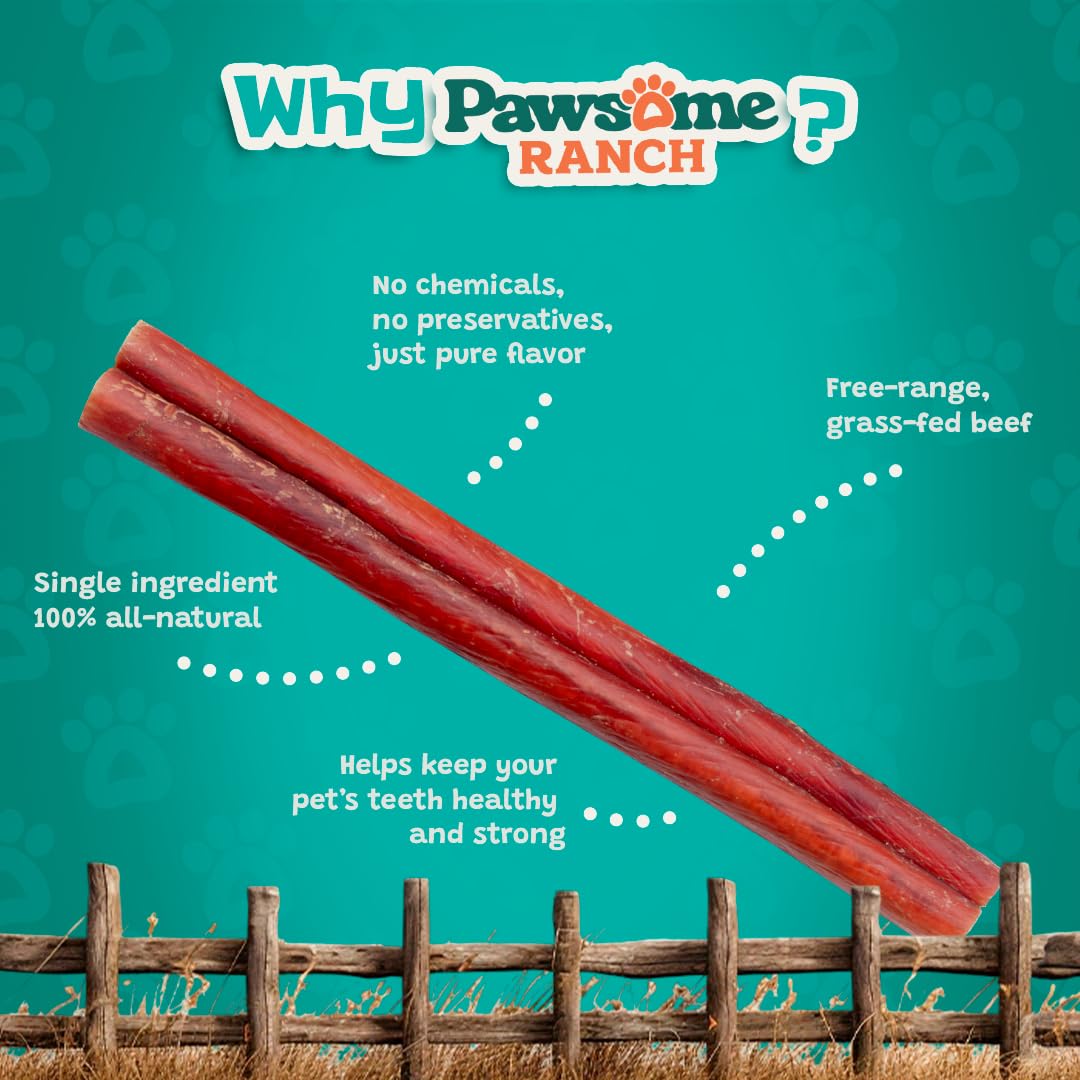 Pawsome Ranch Bully Sticks odeur neutre, mastication sans odeur pour les foyers.