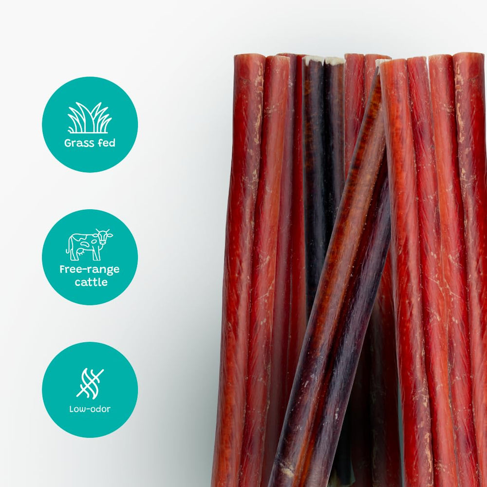 Pawsome Ranch Bully Sticks taille petit chien, mastication adaptée et durable.