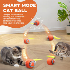 PawsomeFinds Balle interactive chat mode intelligent offre des sessions de jeu personnalisées.