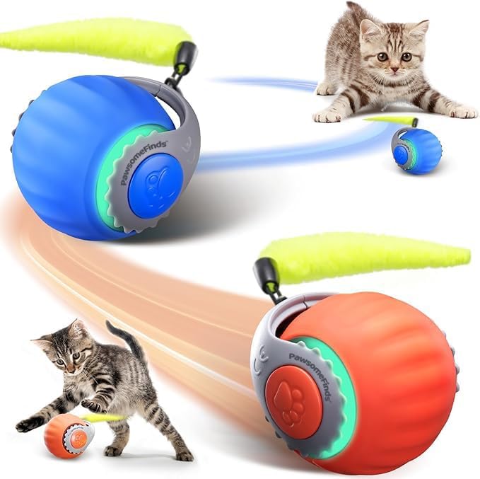 PawsomeFinds Balle interactive chat queue rapide idéale pour l'enrichissement des chats d'intérieur.