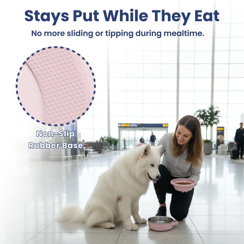 PAWSPIK PawsPik poignée intégrée en silicone, transport facile et sans fuite.