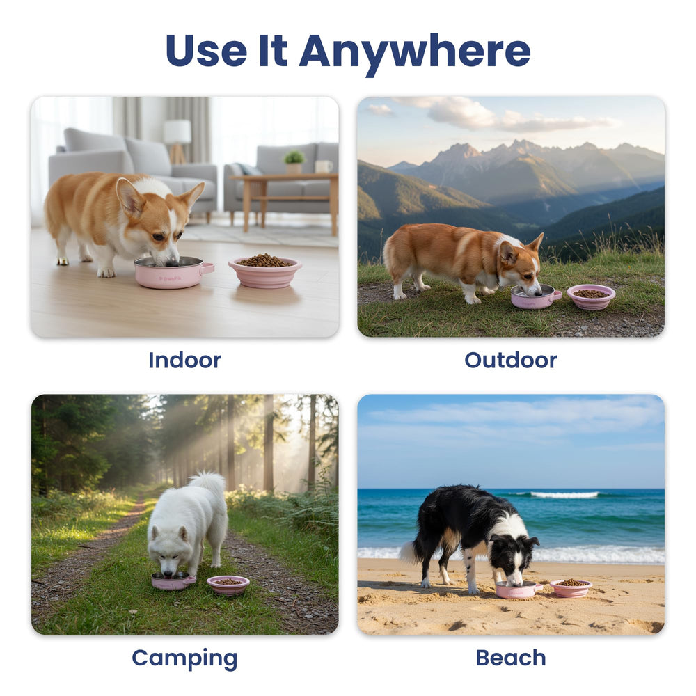 PAWSPIK PawsPik format compact, parfait pour sac de voyage et sorties quotidiennes.