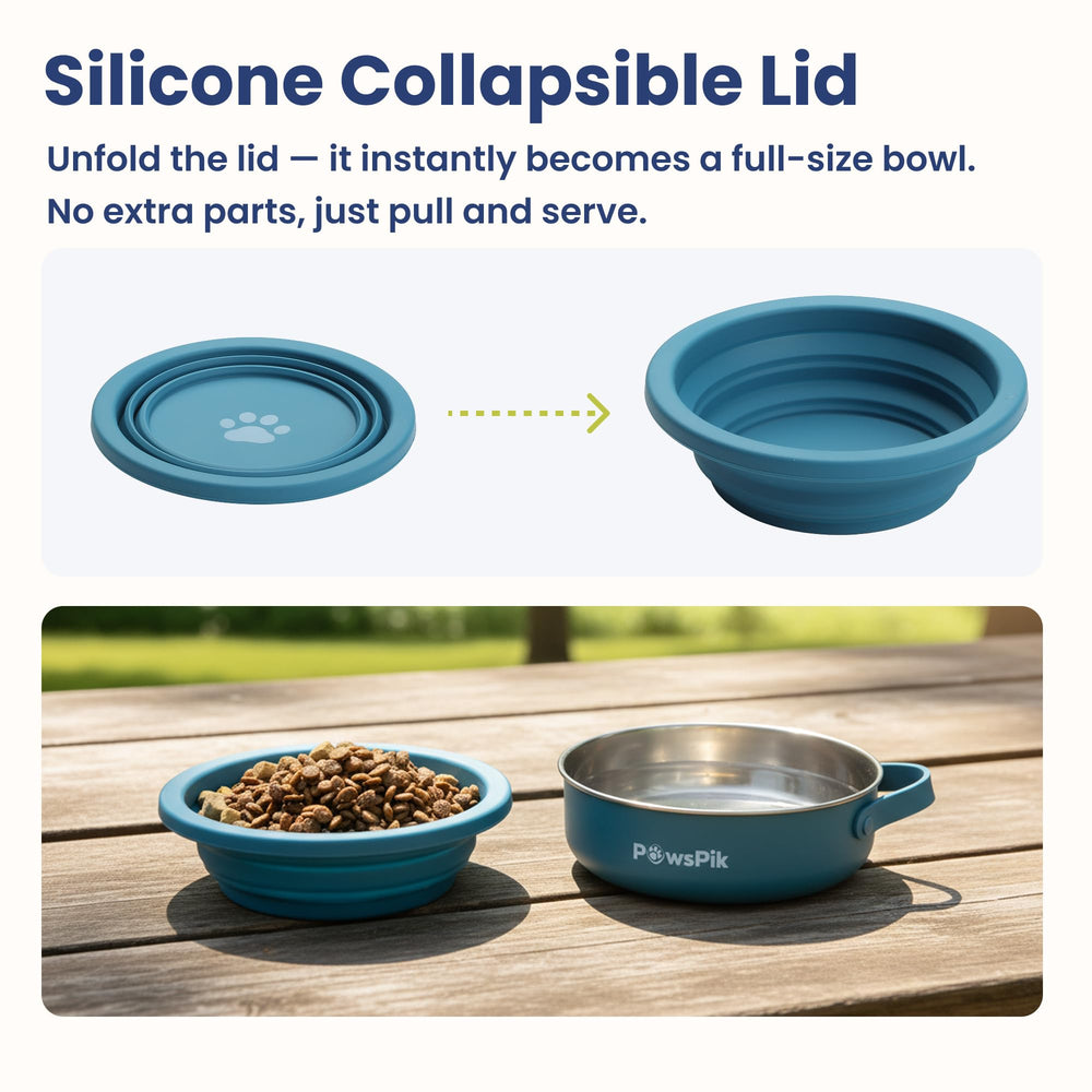 PAWSPIK bol silicone BPA-free, sécurité alimentaire et nettoyage facile.