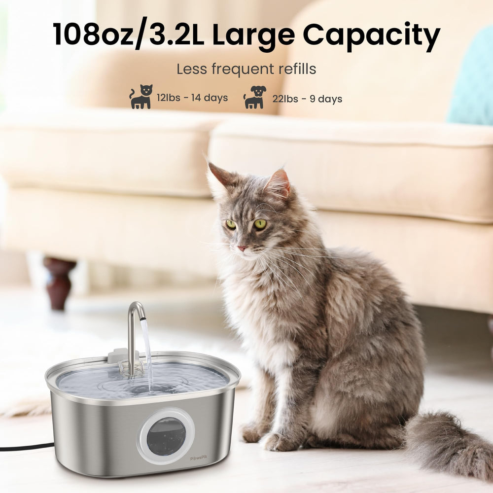 Pawspik fontaine chat, deux modes flux et bulles pour l hydratation.