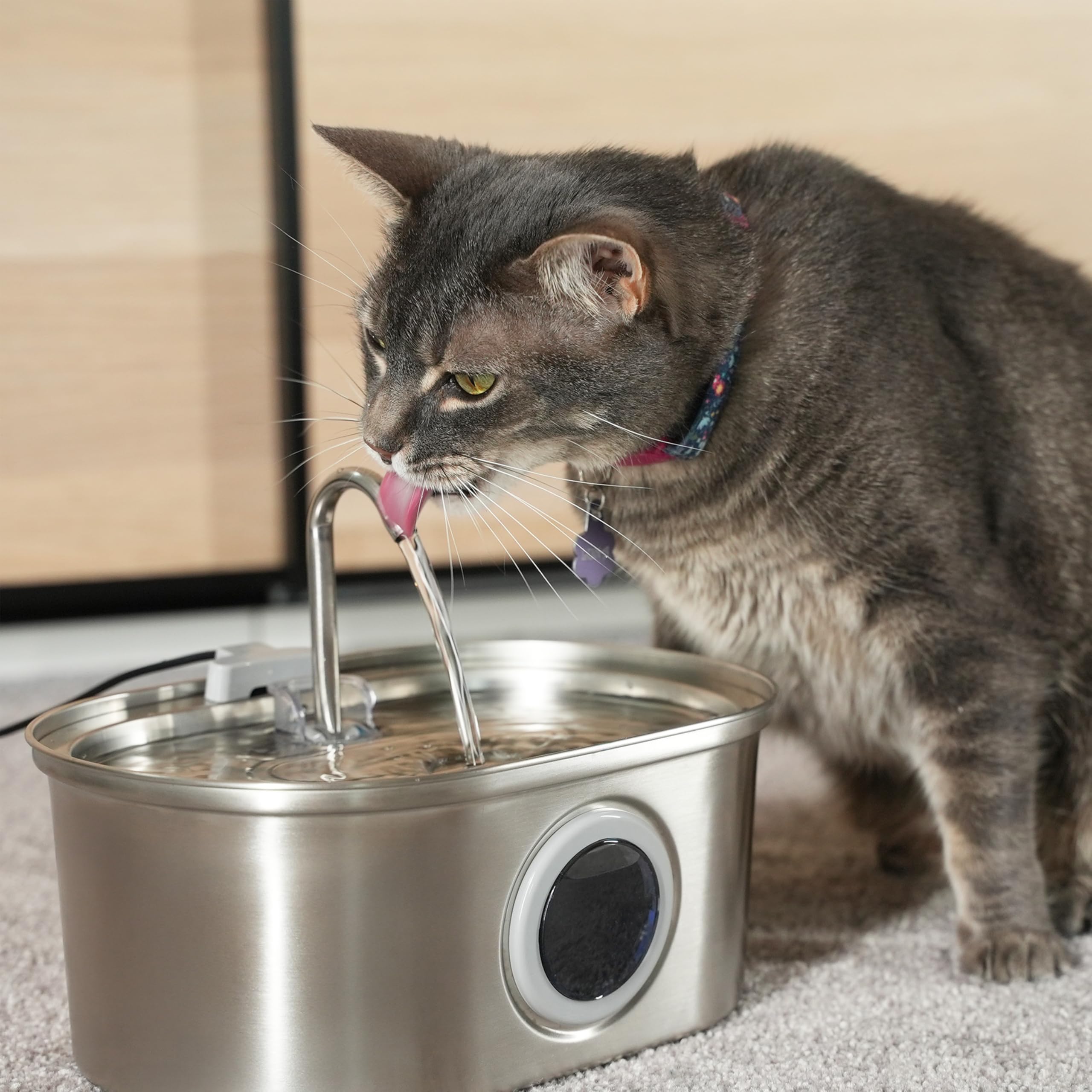 Pawspik fontaine chat usage intérieur adaptée aux chats et petits chiens.