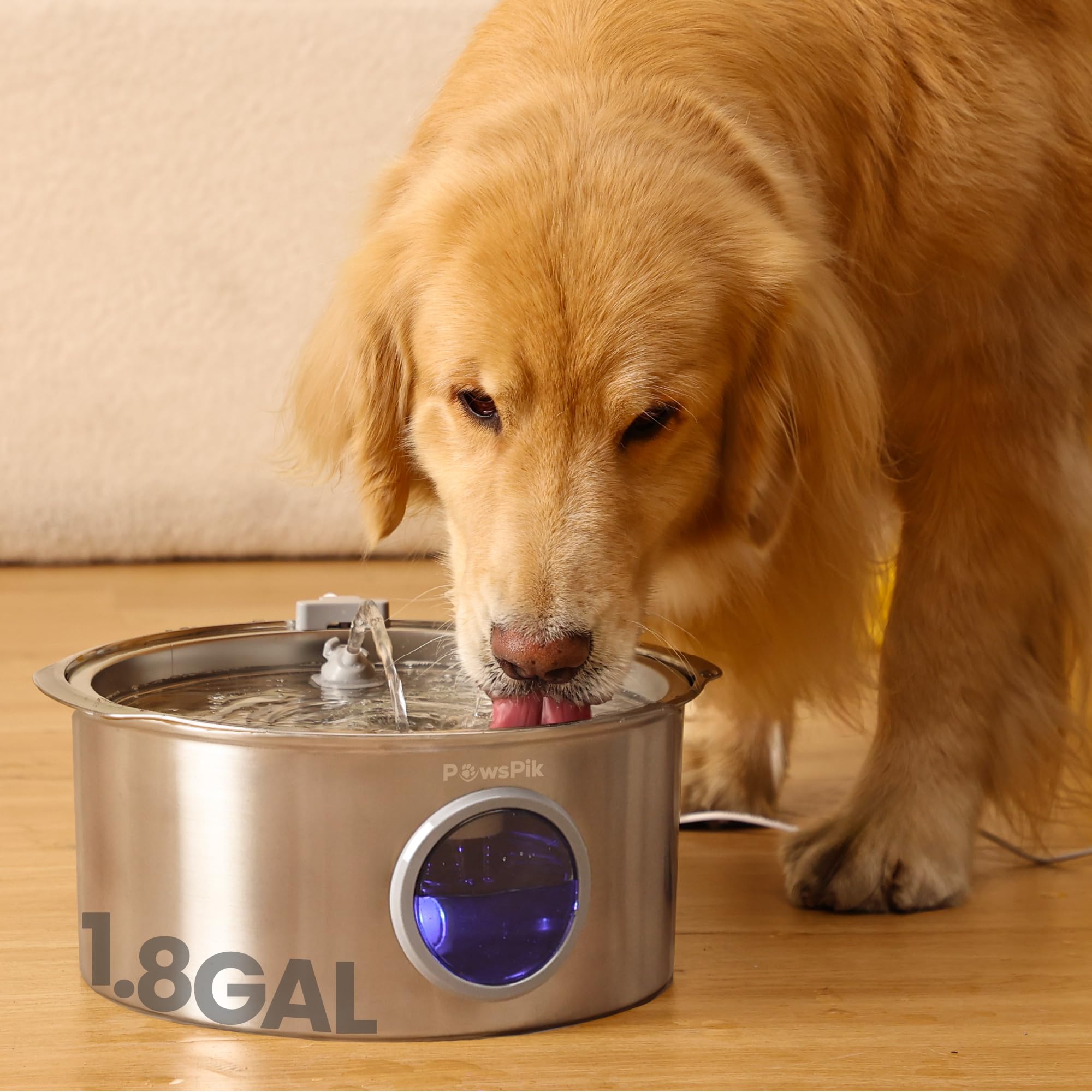 PAWSPIK fontaine-eau-chien-inox-304, résistance durable et hygiène au quotidien.