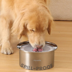 PAWSPIK gamelle eau chien inox 4L, robuste et hygiénique.
