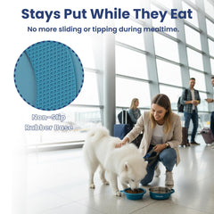 PAWSPIK anse silicone antide rapante, transport et service sans effort.