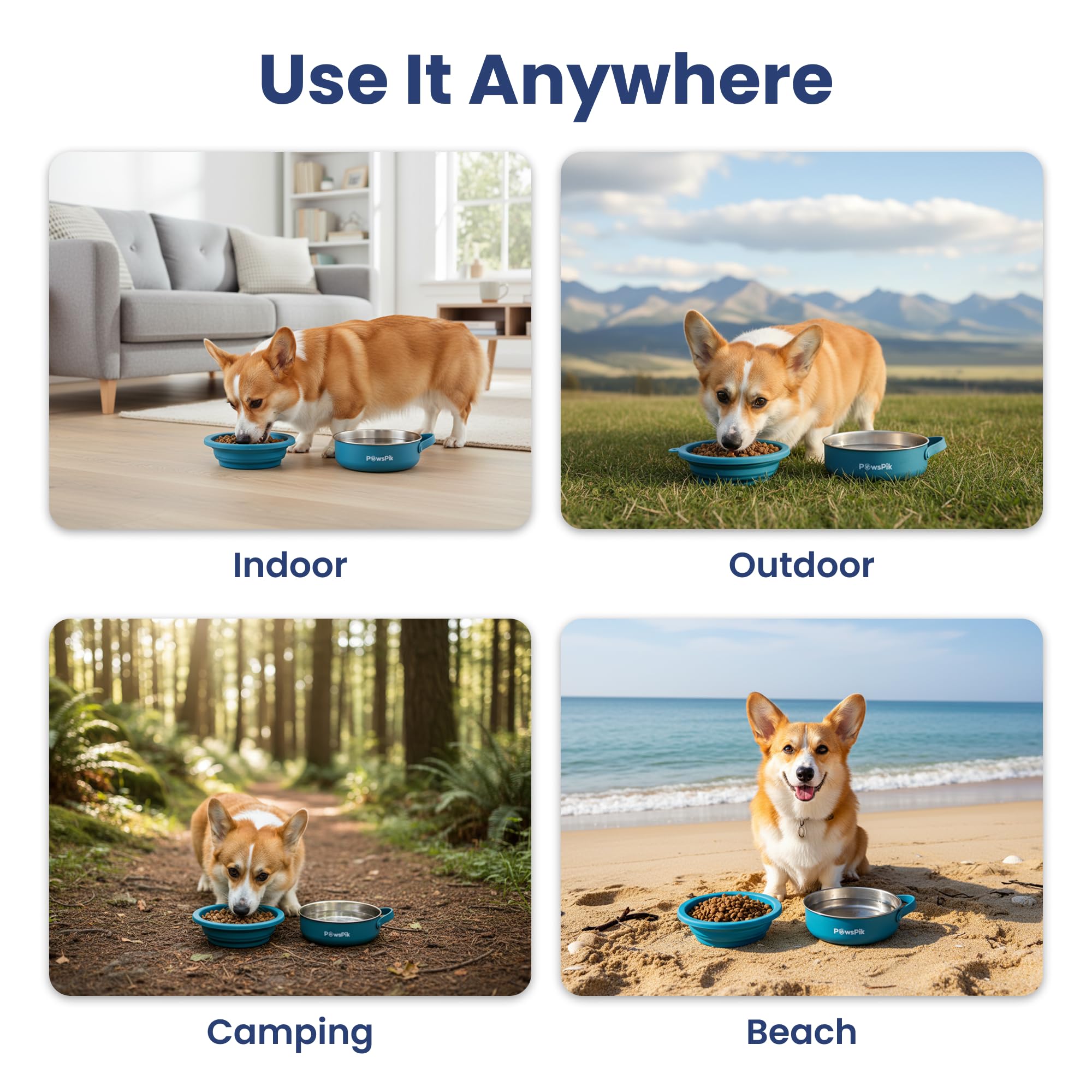 PAWSPIK sécurité anti-fuite, bol stable et sans déversement.