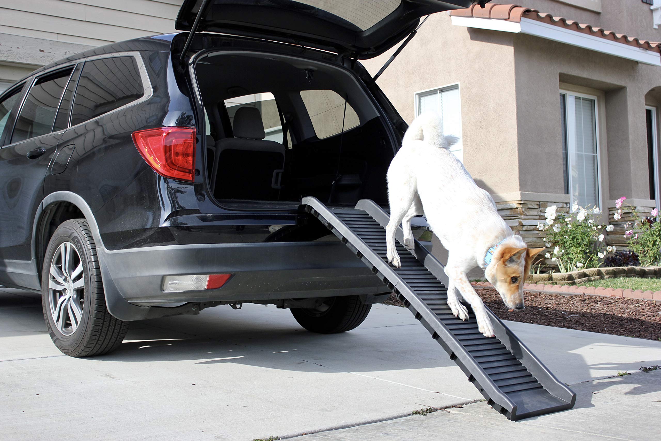 PawStep assistance légère, aide à accéder à surfaces surélevées.