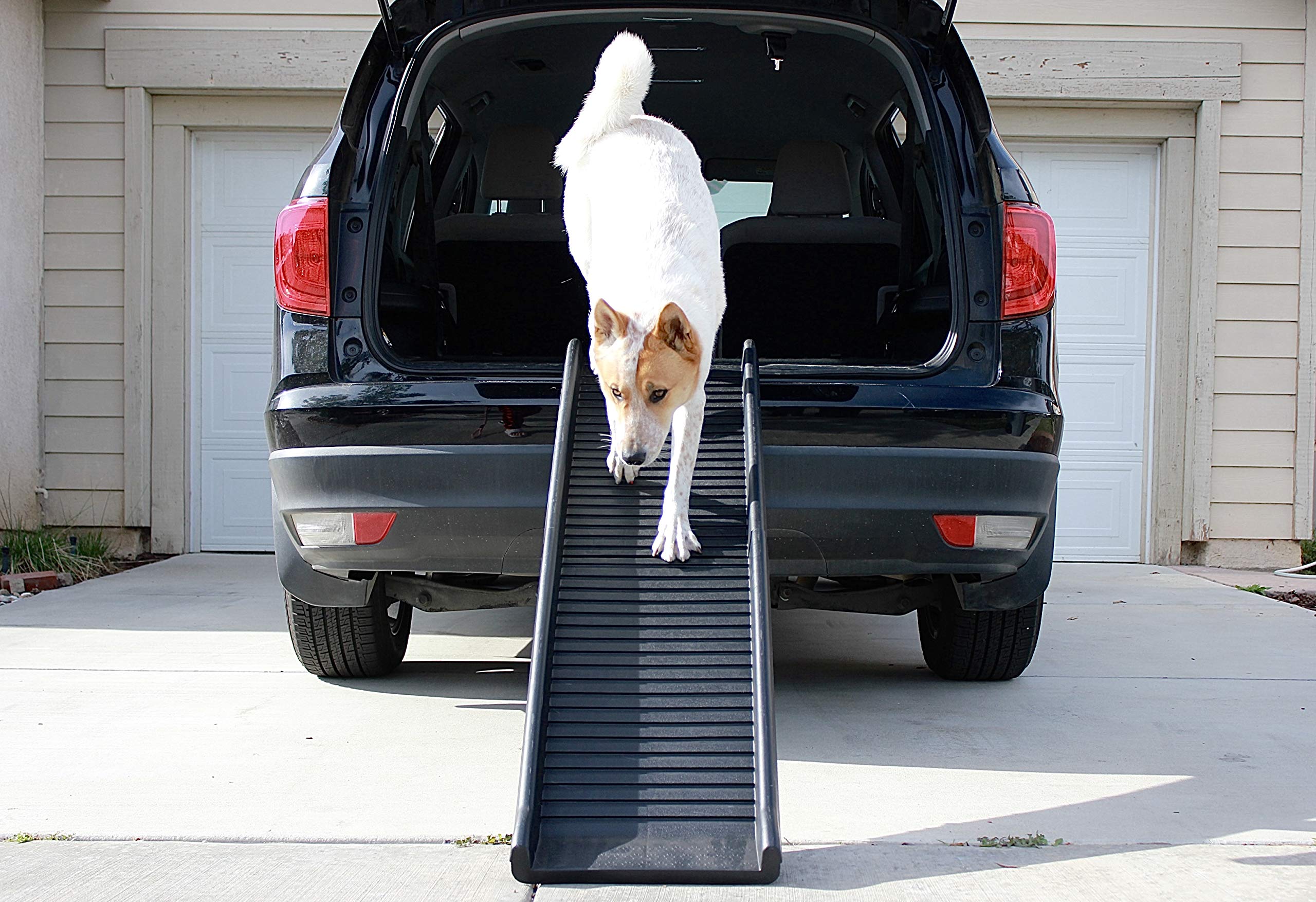 PawStep utilisation multiforme sur voiture, lit et canapé.