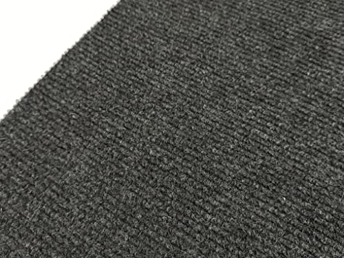PawStep Texture de tapis style maison, douce pour les pattes.