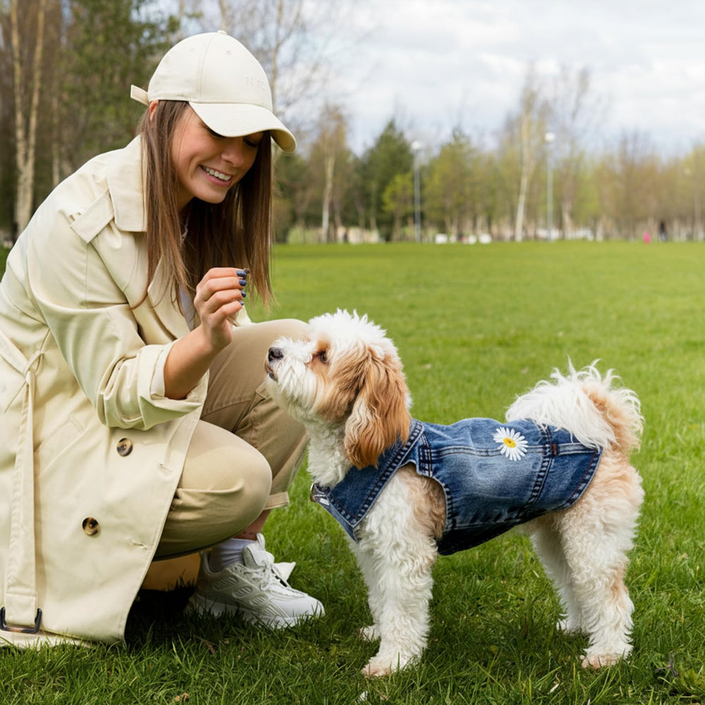 Pawstrip denim chien accessoire daisy : facile à laver et durable.