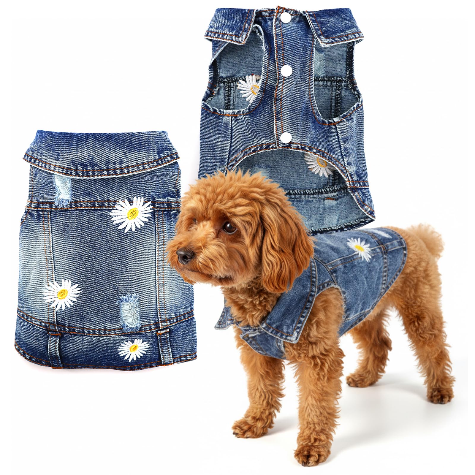 Pawstrip veste chien jean saison daisy : ajustement sûr et confort quotidien.